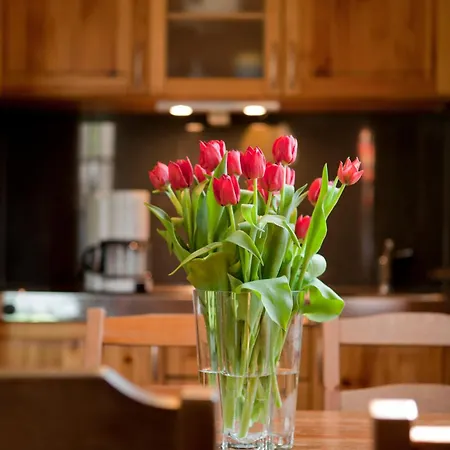 4 Prs 度假居 Kaupen