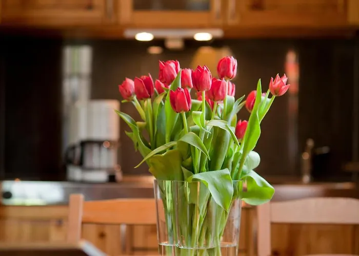 4 Prs 度假居 Kaupen